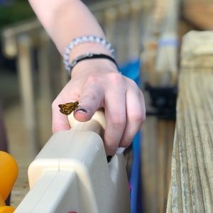 Meet your Posher, Abby